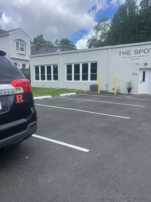 The Spot Picture 1