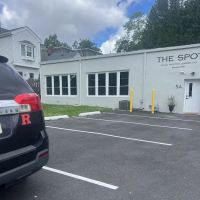 The Spot ico