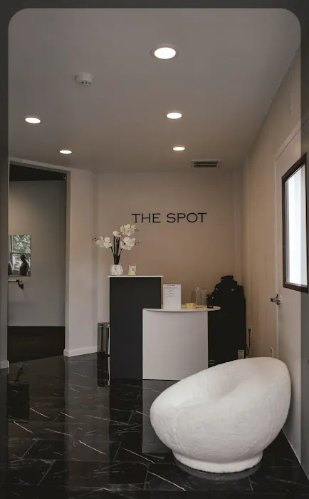The Spot Picture 4