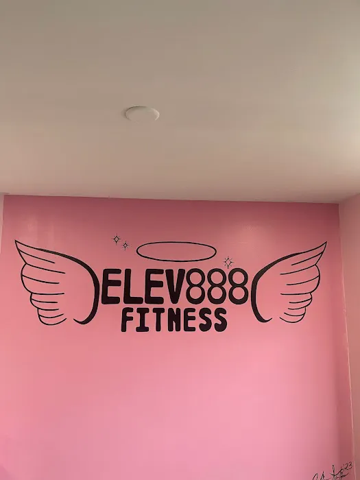 Elev888 Fitness Picture 4