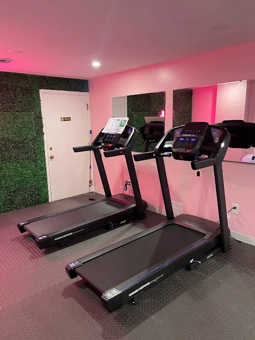 Elev888 Fitness Picture 5