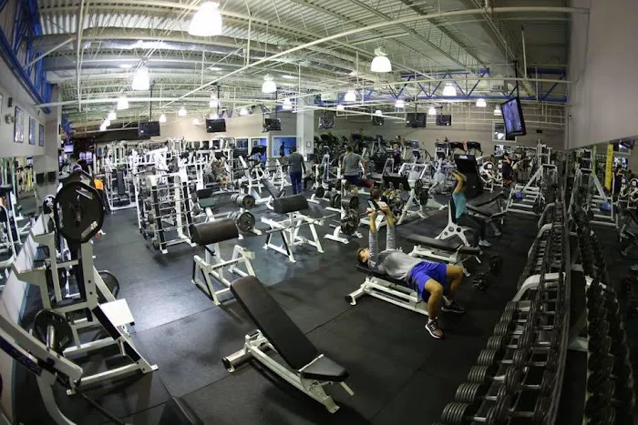 North Beach Health Club of Cape May Picture 3