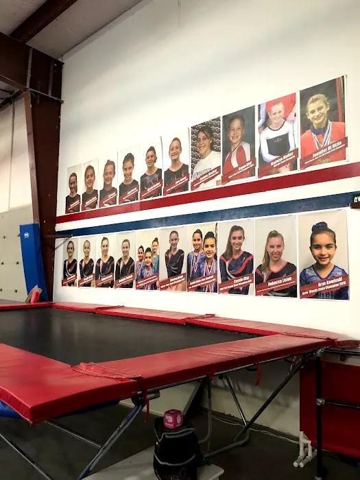 Gymnastics Unlimited Picture 7