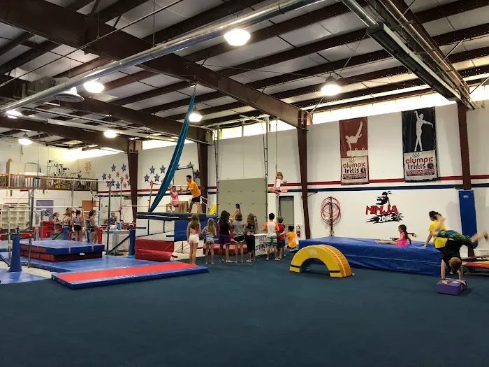 Gymnastics Unlimited Picture 1