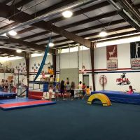 Gymnastics Unlimited ico