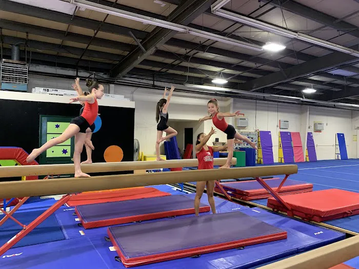 MAGMA GYMNASTICS Picture 5