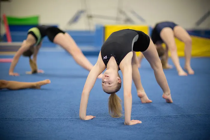 Shields Gymnastics Picture 1