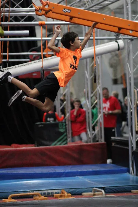 Nex Level Ninja Picture 2