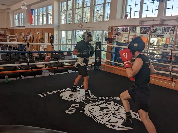 Old Dog Boxing Club Picture 3