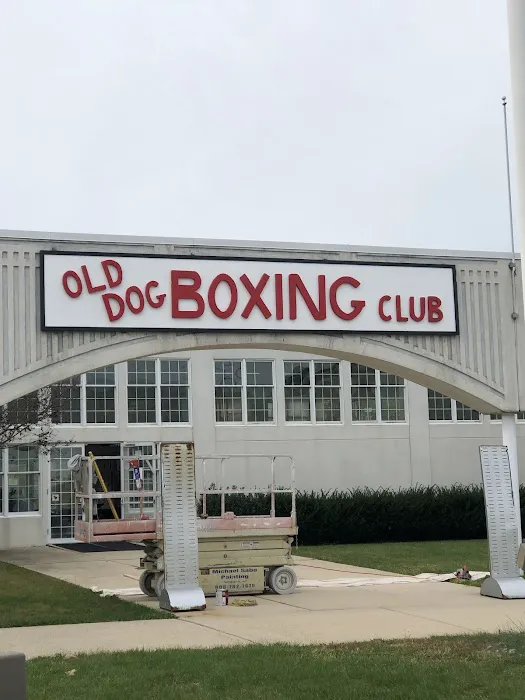 Old Dog Boxing Club Picture 7