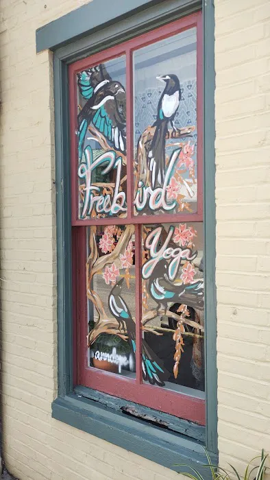 Freebird Yoga Studio Picture 4