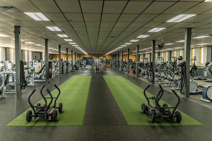 Ark Fitness Picture 3
