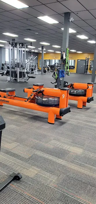 Ark Fitness Picture 8