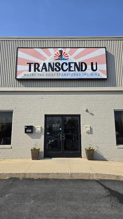 Transcend U Picture 8