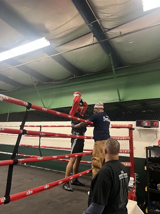 Level One boxing and fitness Picture 4