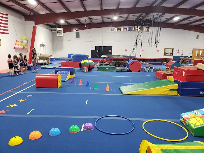 Freedom Gymnastics and Obstacle Training Picture 4