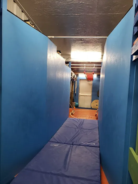 Freedom Gymnastics and Obstacle Training Picture 6