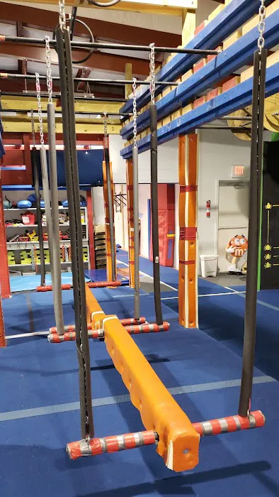 Freedom Gymnastics and Obstacle Training Picture 2