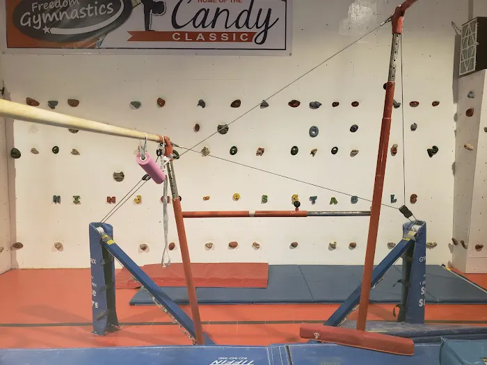 Freedom Gymnastics and Obstacle Training Picture 5