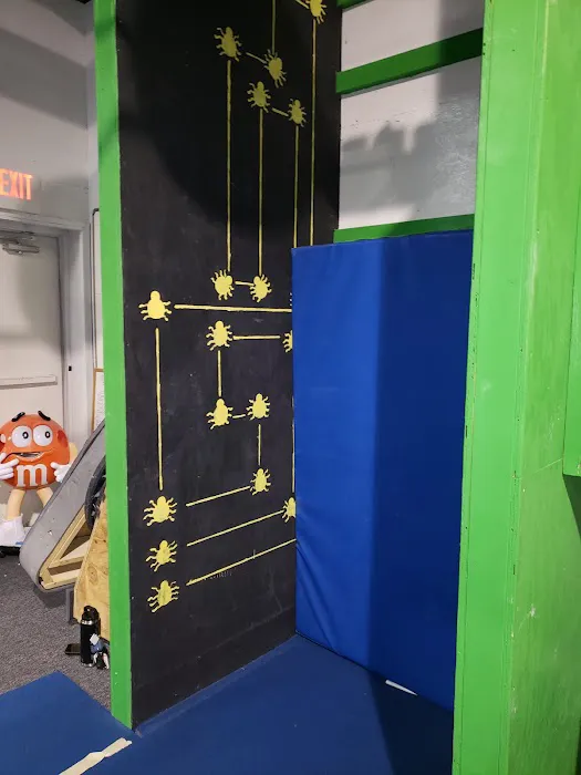 Freedom Gymnastics and Obstacle Training Picture 7