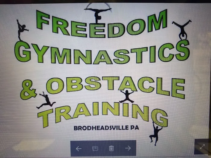 Freedom Gymnastics and Obstacle Training Picture 1