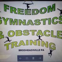 Freedom Gymnastics and Obstacle Training ico