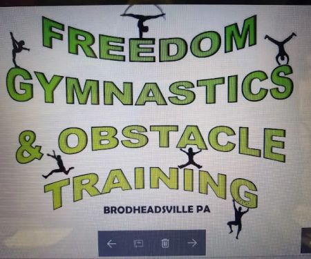 Freedom Gymnastics and Obstacle Training