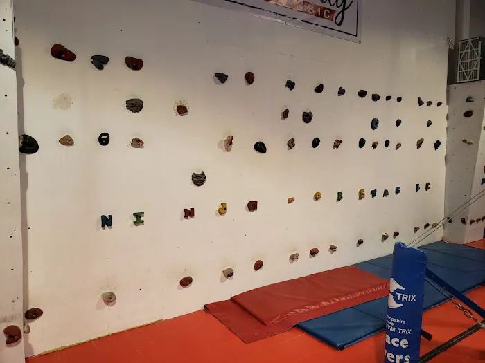 Freedom Gymnastics and Obstacle Training Picture 8