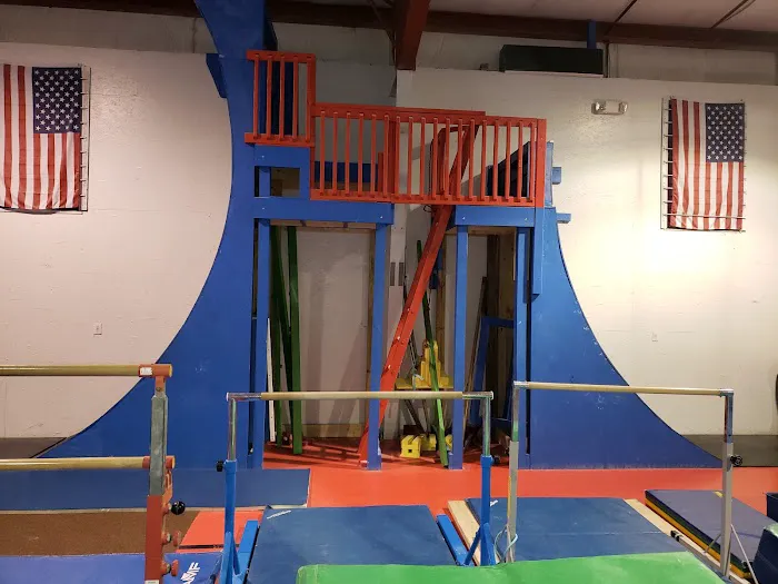 Freedom Gymnastics and Obstacle Training Picture 9