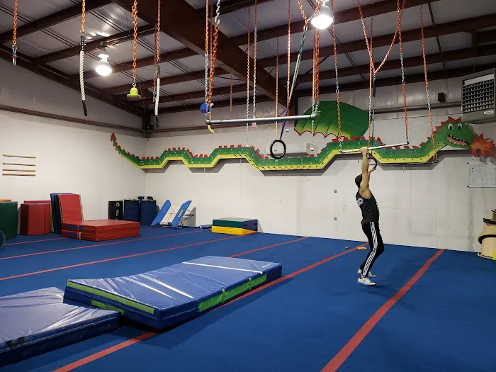 Freedom Gymnastics and Obstacle Training Picture 3