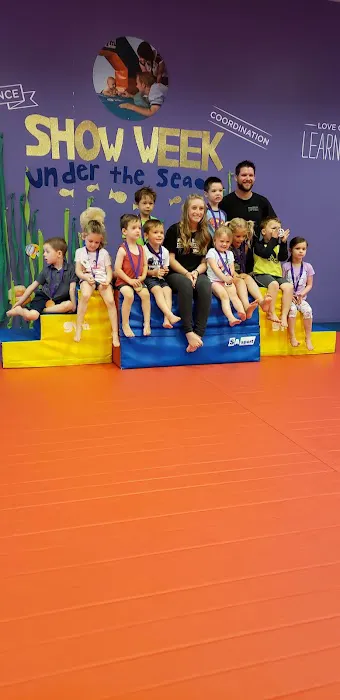 The Little Gym of Hamilton Picture 9
