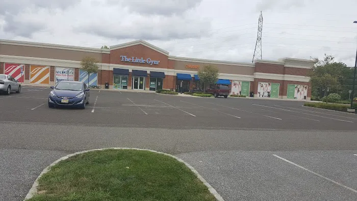 The Little Gym of Hamilton Picture 1