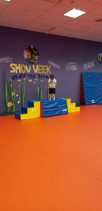 The Little Gym of Hamilton Picture 5