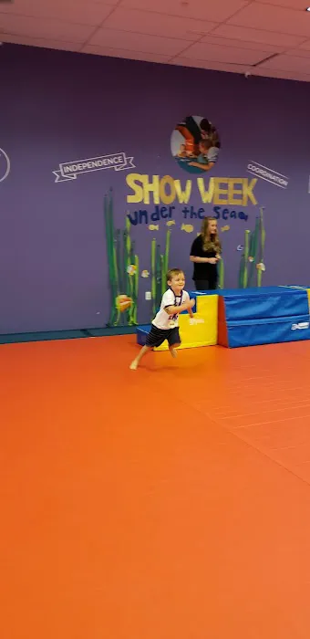 The Little Gym of Hamilton Picture 4
