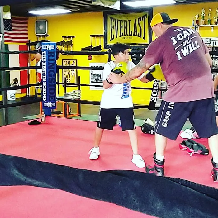 Rocky Boxing School Picture 10