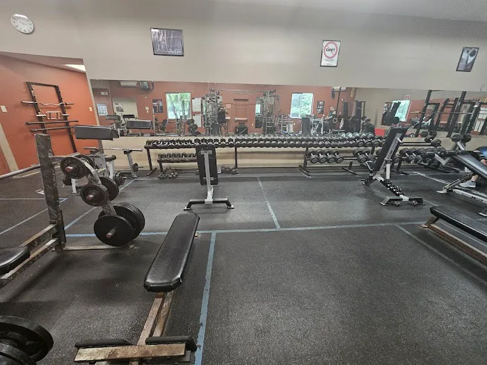 Bloom Health & Fitness Picture 1
