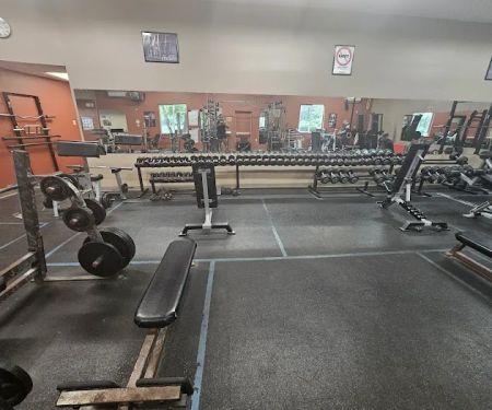 Bloom Health & Fitness