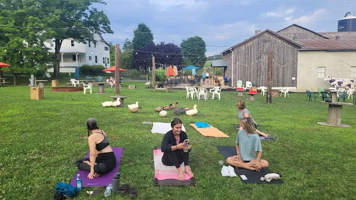 Radiant Soul Yoga and Wellness LLC Picture 6