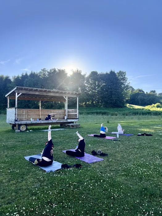 Radiant Soul Yoga and Wellness LLC Picture 2