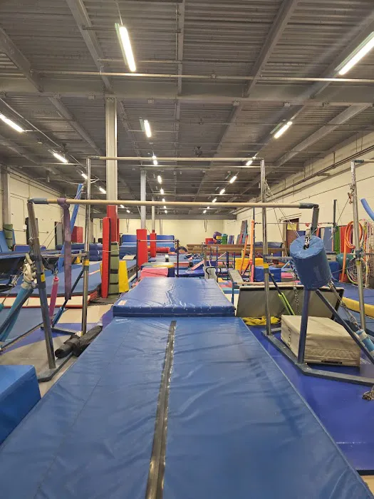 Axis Gymnastics Academy Picture 3