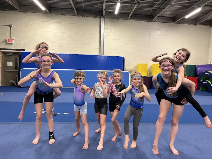 Axis Gymnastics Academy Picture 1