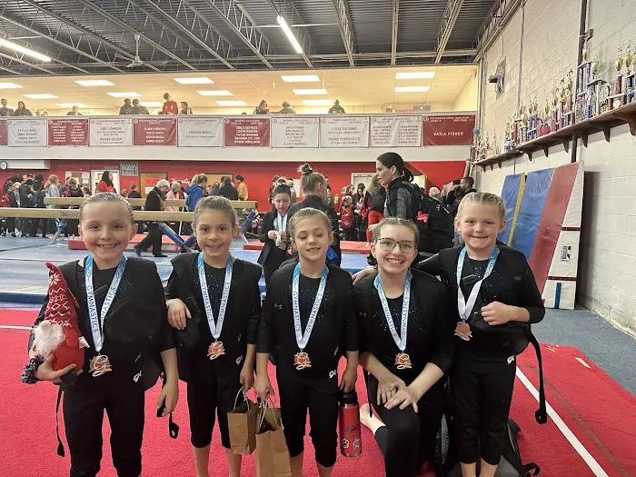 Axis Gymnastics Academy Picture 5