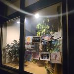 StudioB Yoga Center