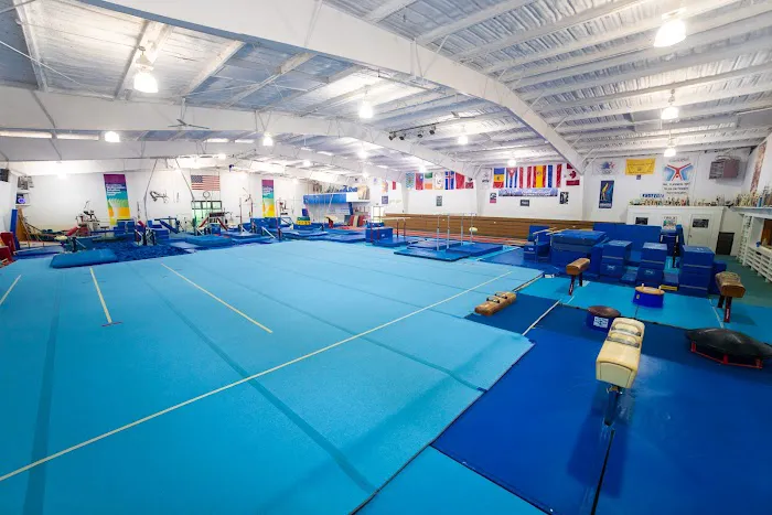 International Gymnastics School Picture 7