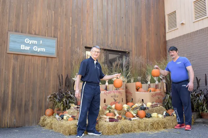 International Gymnastics School Picture 2