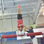 International Gymnastics School