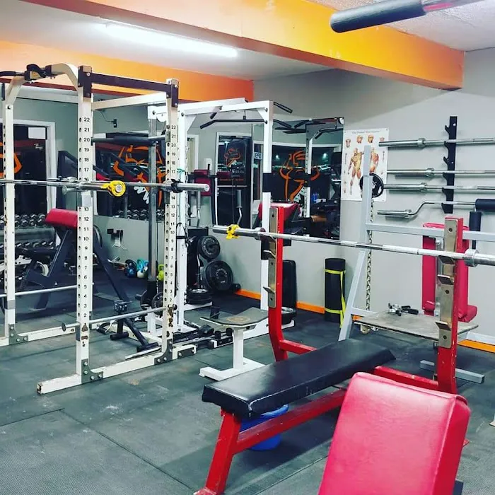 Wilder Wellness Solutions Picture 4