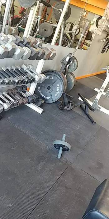 Wilder Wellness Solutions Picture 3