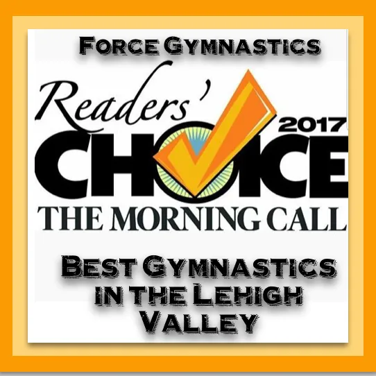 Force Gymnastics Picture 3