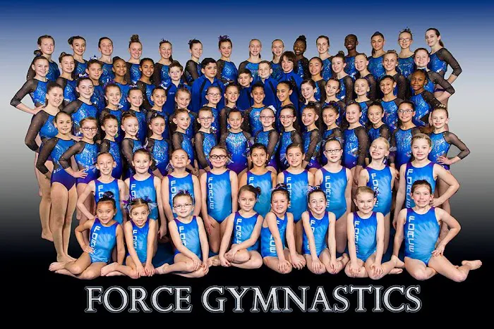 Force Gymnastics Picture 4